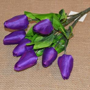 kytica tulipan-fialovy