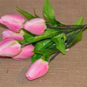 kytica tulipan-ružovy