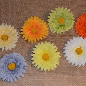 gerbera